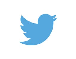 Logo 13