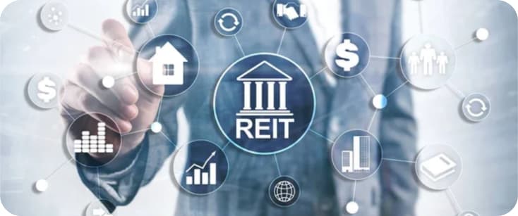 For Investment Analysts & REITs